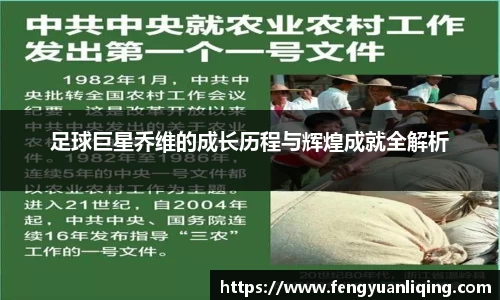 足球巨星乔维的成长历程与辉煌成就全解析