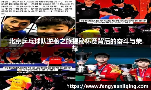 北京乒乓球队逆袭之旅揭秘杯赛背后的奋斗与荣耀